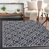 Modern Rug Turkish Style.Washable,Non-Slip, Light Weight Carpet Stain-Resistant,Breathable,Easy to Clean Sturdy Design for Garden,Lawn Blue 4 * 5'3" - 4 of 4