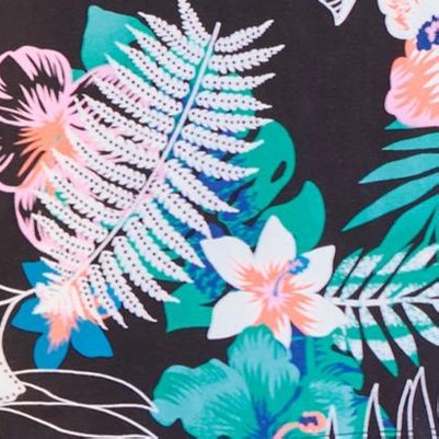 black tropical