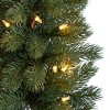 Nearly Natural 3-ft Green Pine Artificial Christmas Tree with 50 Warm White Lights Set in a Burlap Base - 3 of 4