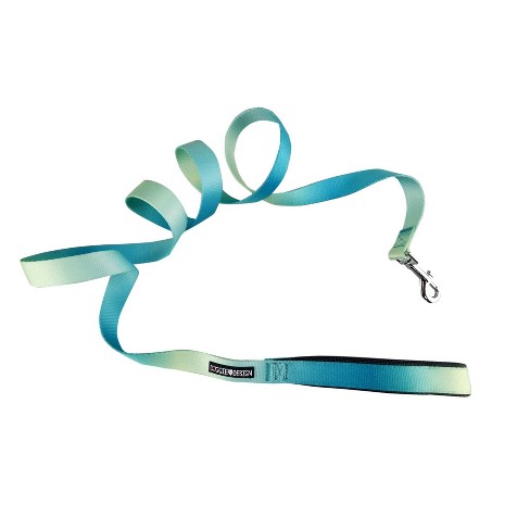 Doggie Design American River Ombre Leash - Aruba Blue - image 1 of 3