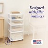 Homz Clear Plastic 4 Drawer Medium Home Organization Storage Container Tower w/2 Large and 2 Small Drawers, and Removeable Caster Wheels - 2 of 4