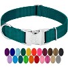 Country Brook Petz Premium Nylon Dog Collar with Metal Buckle for Small Medium Large Breeds - Vibrant 30+ Color Selection - 2 of 4