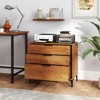 Tangkula 3-Drawer Dresser w/ Metal Support Legs & Anti-tipping Kit for Bedroom Cherry - 2 of 4
