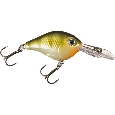 yellow perch