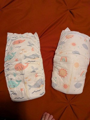 Guest review image 4 of 4, zoom in