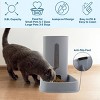 PETMAKER 2PK 3.8L/1G Automatic Pet Feeders, Gray - 3 of 4