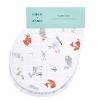 aden + anais 2pk Burpy Bib  - 2 of 3