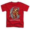 Toddler Boys' Harry Potter Mosaic Gryffindor With Lion T-Shirt Red - 2 of 4