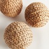 Plum & Post Jace Water Hyacinth Orbs, Natural Decorative Accents, 3pc - 4 of 4