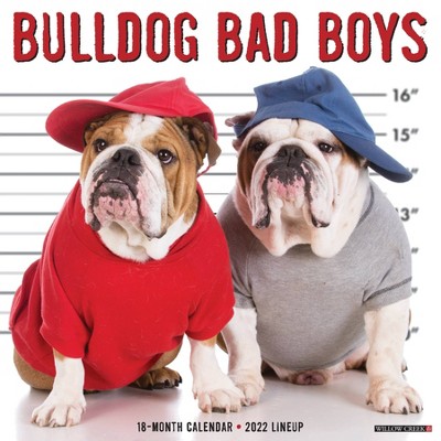 2022 Wall Calendar Bulldog Bad Boys - Willow Creek Press