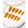 Hachikiko Amber Sunset Press-On Nails - Nature-Inspired Gradient & Speckled False Nails for Fashionable Elegance - 2 of 4