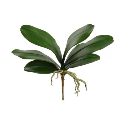 Floral Home 17" Phalaenopsis Leaf 6 Clusters Leaf - 12-Piece