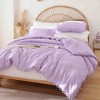 BAGOKIE 3-Piece Bed in a Bag Comforter Set with Pom Fringe - 3 of 4