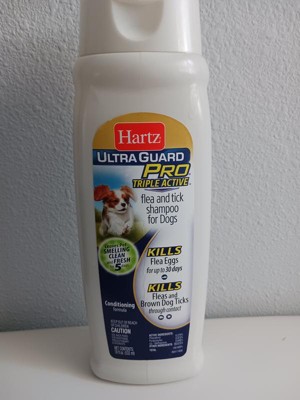 Hartz ultraguard flea and best sale tick shampoo