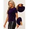INSPIRE CHIC Women's Sequin Velvet Crew Neck Short Sleeve T-shirt - 2 of 4