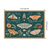 Amanti Art Winged Study I (Butterfly) by Janelle Penner Canvas Wall Art Print Framed 23 x 16-in. - 4 of 4