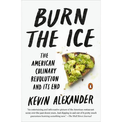 Burn the Ice - by  Kevin Alexander (Paperback)