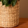 Live 6" Dieffenbachia Green Magic Potted Houseplant - image 3 of 4