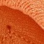 orange (matching trim)