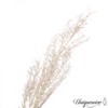 Uniquewise Preserved Real Floral Stems Chic Vase Fillers & Accents for Bouquets Centerpieces - 4 of 4