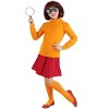 HalloweenCostumes.com Scooby Doo Velma Costume for Girls,  Red Skirt & Glasses - 4 of 4
