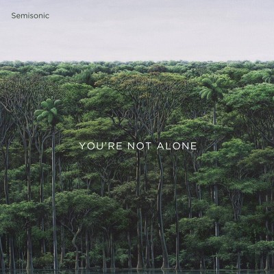 Semisonic - You're Not Alone (CD)