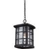 Stonington 1-Light Outdoor Hanging Lantern - 4 of 4