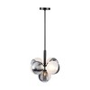 Artcraft Lighting Bolla 5 - Light Pendant in  Black - 3 of 4
