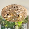 Sofucor 20'' Caged Ceiling Fan with Light and Remote Enclosed Rattan Caged Ceiling Fans Black - 3 of 4