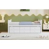Full Size Daybed with Twin Size Trundle and Drawers for Bedroom, Apartment, or Guest Room - 3 of 4