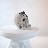 Dexmalle Halloween Demon Skull,Suitable for Outdoor Fireplace and Fire Pit - 4 of 4