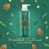 Safeguard Hand Wash - Frosted Citrus Scent - 15.5 oz - 3 of 4