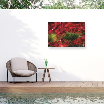 Trademark Fine Art - Kurt Shaffer Palm on Red Matted Framed Art