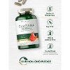 Carlyle Guarana 1600mg | 200 Capsules - 4 of 4