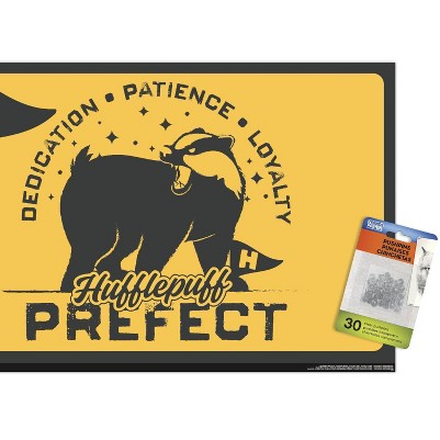 clear push pins bundle