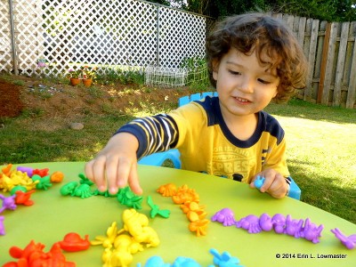 Learning Resources In The Garden Critter Counters, Ages 3+ : Target