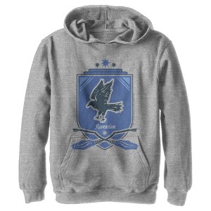 Boy's Harry Potter Quidditch Ravenclaw Team Crest Pull Over Hoodie - 1 of 4