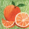 C&F Home 10" x 10" Fruit Orange Printed Small Petite Throw Pillow - 3 of 3