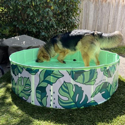 Piscina Para Perros Pequeños Gimdog Splash Time! S (80 X 20 Cm) con Ofertas  en Carrefour