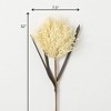 Sullivans Artificial Ivory-Colored Stout Reed Stem 32"H Off-White - 3 of 3