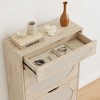 Shoe Cabinet, Rattan Shoe Storage With 2 Flip Drawer and 1 Pull-Out Drawer, Heavy Duty Metal Leg - 3 of 4