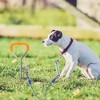 Petbobi Dog Tie-Out Cable and Stake - 30FT Spring Heavy Duty Cable - 16-inch Ground Stake for Medium to Large Dogs Up to 120 lbs, Blue - 2 of 4