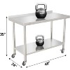 NSF Certified Stainless Steel Work Table,48*24*35inch Bilayer Table with Adjustable Undershelf - 3 of 4