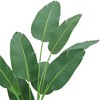 5.2ft Artificial Travellers Plants Fake Potted Silk Tree with Planter Large Realistic Banana Leaves Simulation Fake Tree for Outdoor Indoor - 4 of 4