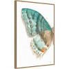 22"x33" Fragile Wings III by Danhui Nai Framed Canvas Wall Art Light Brown - Amanti Art: Vertical Lithograph Insect Decor - 2 of 4
