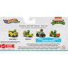 Hot Wheels RacerVerse TMN Vehicles - 4pk - 3 of 3
