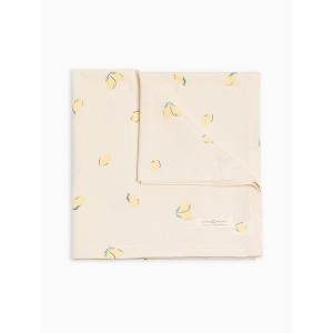 Swaddle Blanket - 1 of 4