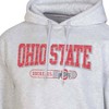NCAA Ohio State Buckeyes Gray Fleece Hooded Sweatshirt - 3 of 3