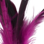 feather