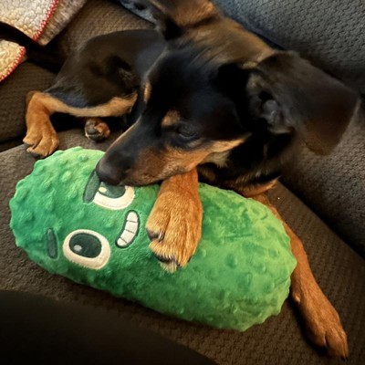 Bark Punk Brocc Broccoli Dog Toy : Target